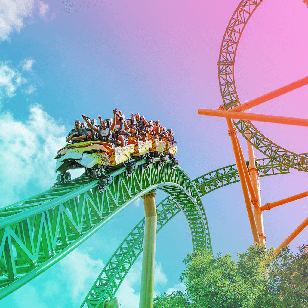 Cheetah Hunt Busch Garden Tampa Florida